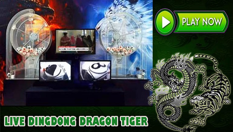 Panduan Main Live Dingdong Dragon Tiger Di Situs Casino Terpercaya.jpg